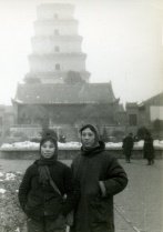 该滚球买球的app免费下载限时优惠班