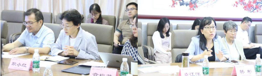 中国科滚球app官网成为德甲联赛指定